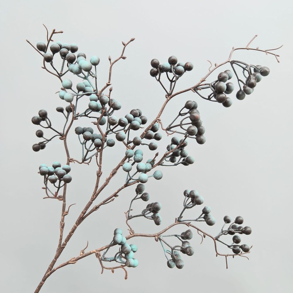 Decorative Simulation Berry Br - Photography Simulator review and price